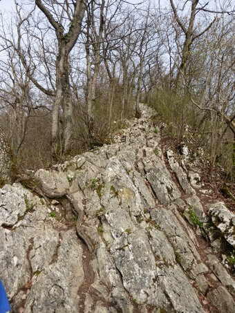 Wanderung auf die Lägern 2016