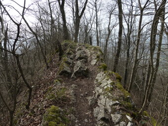 Wanderung auf die Lägern 2016