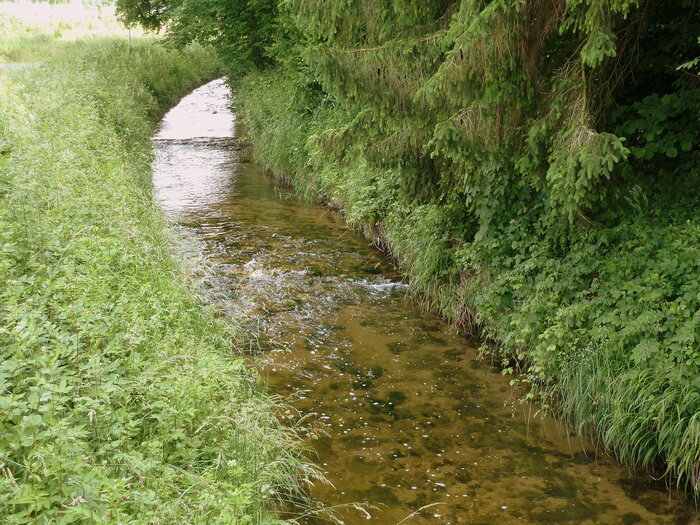 Ferienspasstag Biber 2009