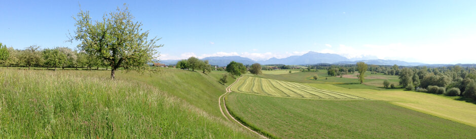 © WWF Zürich / Roman von Sury