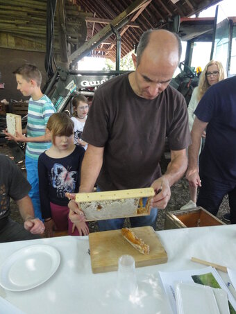 Die Arbeit des Imkers – Welt der Bienen