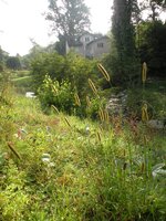 Die Atomkraft ist eine gefährliche Energie. Atomkraftwerk Fukushima, Japan. © Reuters Die Atomkraft ist eine gefährliche Energie. Atomkraftwerk Fukushima, Japan. © Reuters