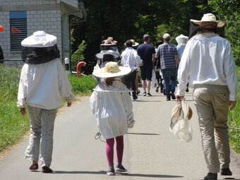 Die Arbeit des Imkers – Welt der Bienen